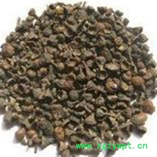 肉桂 肉桂子 产地 广西壮族自治区图2