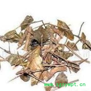 中药材伏牛花、绣花针 、虎刺图2