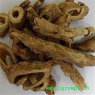 南五加皮 统片图2