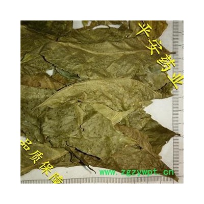 平安药业 黄皮叶 优质 促销