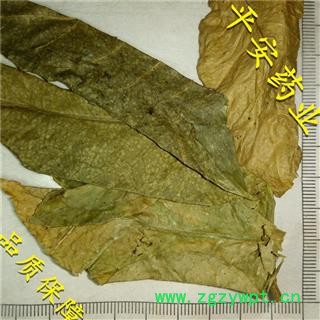 平安药业 黄皮叶 优质 促销图2