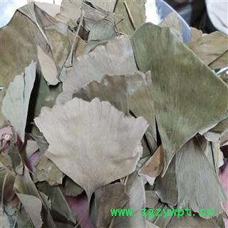 银杏叶 产地直销新货银杏叶，过筛干净无杂。实物拍摄 产地 天津市图3