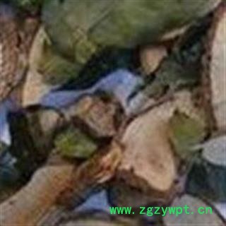 小丽百草行七叶莲 -七叶藤 龙爪叶 龙爪树 大七叶莲 多蕊木图2