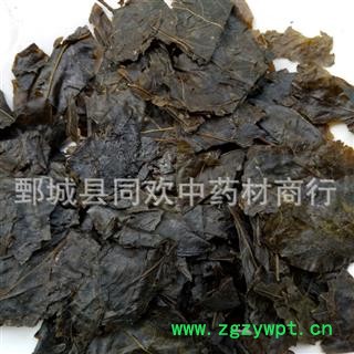 【苦丁茶叶 毛冬青叶】@【同欢药材】中药材批发供应 规格齐全 量大从优 产地 安徽省图2