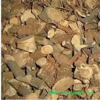 小丽百草行新品 统了哥王 产地广东省图3