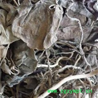 世元药业 三七叶 正品 金不换叶 田七叶【全品除尘中药】图3