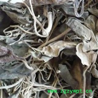 世元药业 三七叶 正品 金不换叶 田七叶【全品除尘中药】图2