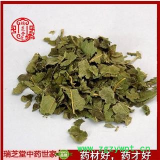 桑叶统货  冬桑叶 中药材 药典正品 瑞芝堂产地直销1000克图2