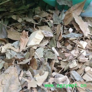 诺源药材行正品中药材 茵芋 茵芋叶 卑山共图4