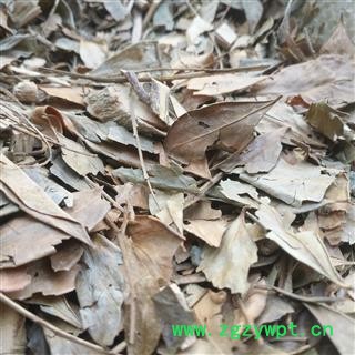 诺源药材行正品中药材 茵芋 茵芋叶 卑山共图2