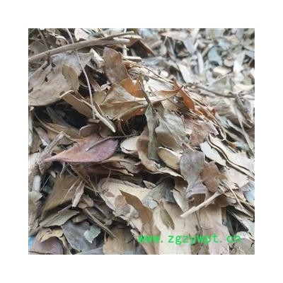 诺源药材行正品中药材 茵芋 茵芋叶 卑山共