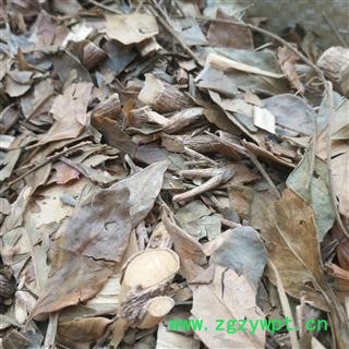 诺源药材行正品中药材 茵芋 茵芋叶 卑山共图3