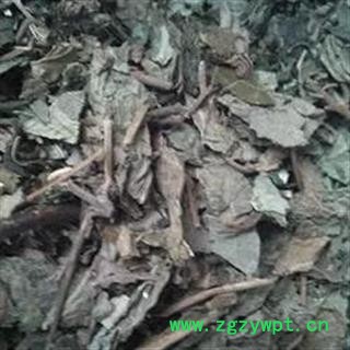 诺源药材行中药材臭梧桐叶 八角梧桐 山梧桐 臭桐柴图2