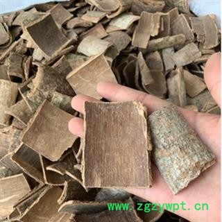 诺源药材行野生鸭脚木皮 西加皮 鸭脚树图2