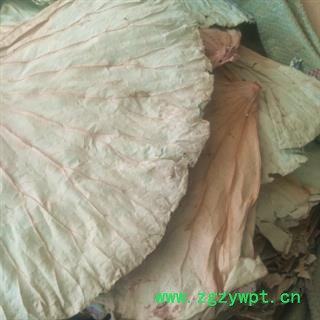 安祁名药荷叶 整张荷叶  新货干品图2