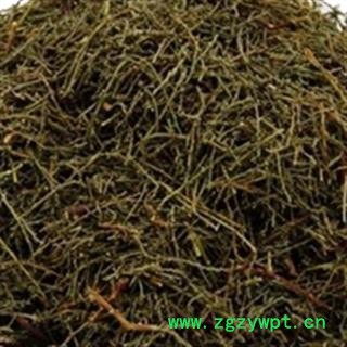 安祁名药西河柳 山川柳 赤柽柳 观音柳图2