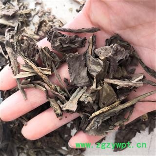 安祁名药道地直销大青叶 板蓝根叶 蓝叶 新货无硫图2