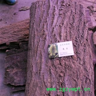 杜仲皮 精品 产地 四川省成都市双流县图4