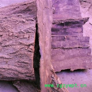 杜仲皮 精品 产地 四川省成都市双流县图2