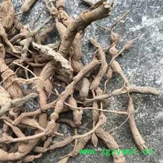 安祁名药正品野生老虎刺  虎刺根  绣花针 地下部分图3