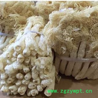 安祁名药优质竹荪 贵州野生竹荪 优质食用菌图2