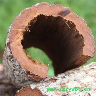 卡宾达树皮 非洲卡宾达 安哥拉 手工切块 日晒干净500g图3