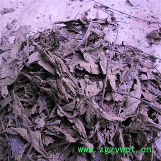 麻柳叶 统货 产地 四川省成都市双流县图3