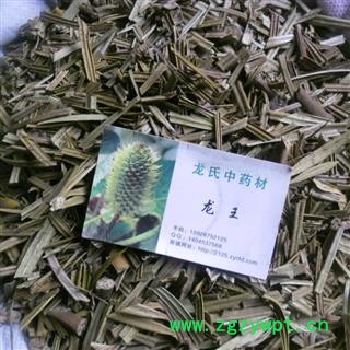 铁树叶 统货 产地 四川省成都市双流县图4