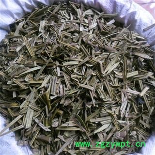 铁树叶 统货 产地 四川省成都市双流县图2