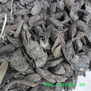 乌骨藤 统 产地 四川省成都市双流县图4