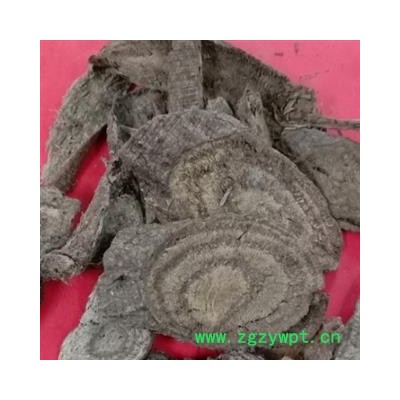 乌骨藤 统 产地 四川省成都市双流县