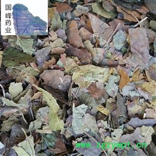 桑叶 霜桑叶 足干 自然色 无硫磺 统货 产地 山东省图2