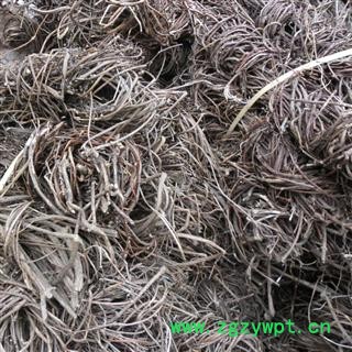 鸡屎藤 统货 产地 四川省成都市双流县 库存 10000千克可售图2