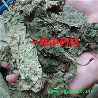 桑叶 青桑叶统货 产地 山东省图2