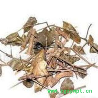 绣花针、伏牛花、虎刺、老虎刺 、老鼠刺 新货85图3