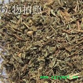 绣花针、伏牛花、虎刺、老虎刺 、老鼠刺 新货85图2