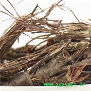 小丽百草行中药材新货 无杂质 无硫磺 凤尾七 凤凰草图3