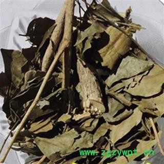 小丽百草行茵芋 卑山共、莞草、卑共、茵蓣、因预图2