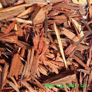 降香 药用降香 统 产地 海南省图2