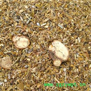 桑寄生片1000克促销批发 桑寄生沫渣 产地 吉林省图3