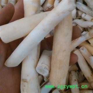 大通草 大通草段 产地 四川省图2