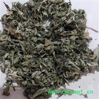 艾叶 艾叶统片 产地 山东省图3