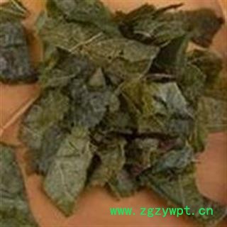 淫羊藿 灸淫羊藿 制淫羊藿 产地 吉林省图2