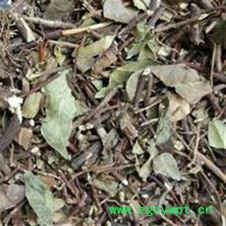 薜荔络石藤 选段 全棵 新货 质量保证 产地 江西省景德镇市图2