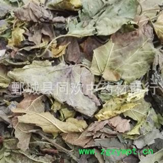 【霜桑叶】@【同欢药材】中药材批发供应  规格齐全 量大从优 产地 山东省图2