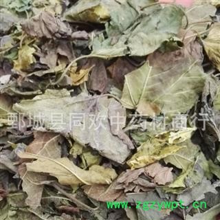 【霜桑叶】@【同欢药材】中药材批发供应  规格齐全 量大从优 产地 山东省图3