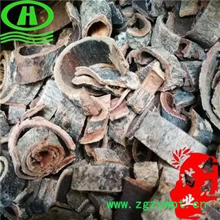 世元药业 紫油厚朴 正品 双河厚朴 川朴 厚皮 重皮 赤朴 烈朴图2