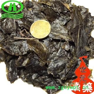 世元药业 苦丁茶 别称-大叶苦丁 大叶毛冬青叶图2