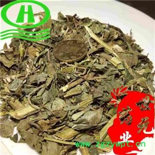 世元药业 花生秧 -花生藤 花生豌子 花生秸【全品除尘中药】图2