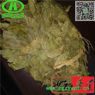 世元药业 黄皮叶 正品保障 别称 油皮 油梅【全品除尘中药】图2